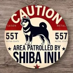 Item thumbnail for item c001c181-295f-46fb-8023-31d8a0f3197f