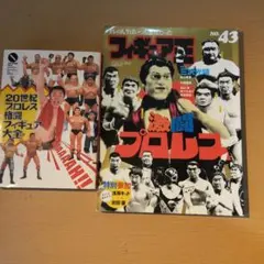 マッスル北村 ワークアウト VHS 入手困難 マッスル北村 VHS 極限の肉体を求めて 2枚組 筋トレ ボディ