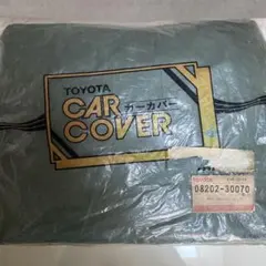 Item thumbnail for item b9e8dae8-c142-4354-b5ce-17ed1c7bc44a