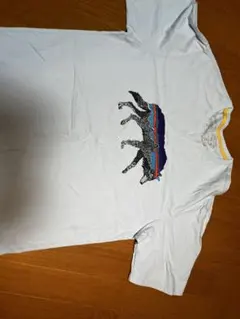 アメリカ購入　PATAGONIA プリントTシャツ半袖　薄ブルー　サイズM