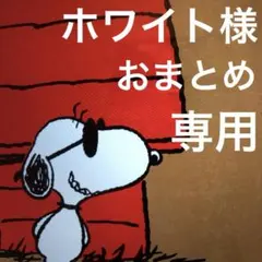 ホワイト様 リクエスト 2点 まとめ商品