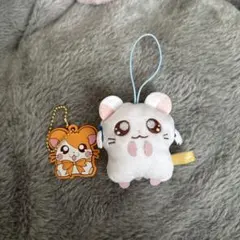 Item thumbnail for item 07903079-403f-4985-b377-fc892cb813f6