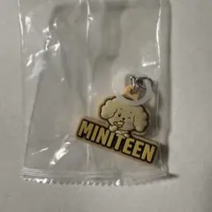 MINITEEN ぷっくりめじるしアクセサリー ドギョム
