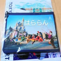 ディズニーランド 40周年 イマジニングザマジック ポーチ 実写 フィナーレ
