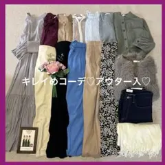 コーデ売り ニット