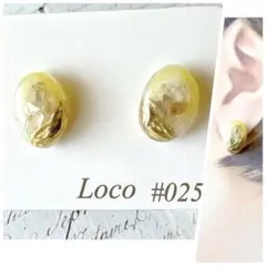 ハンドメイドアクセサリー　ピアス　レジン　天然石風　#025