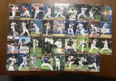 プロ野球チップスカードセリーグ　35枚セット