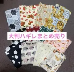 Item thumbnail for item 6ab9601b-f785-443e-b25c-e94f87b0e9eb