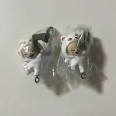 SKZOO ガチャ つまんでつなげてますこっとvol.2 フォクシニー