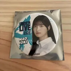 Item thumbnail for item f80589ae-d30e-400f-b162-af979d48f170