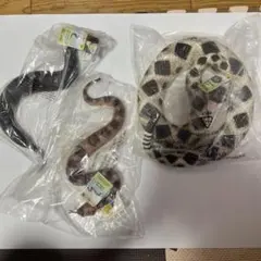 サファリ Safari ヘビ 蛇 フィギュア 3体セット ガラガラヘビのサムネイル