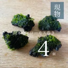 大森正仁様 リクエスト 2点 まとめ商品