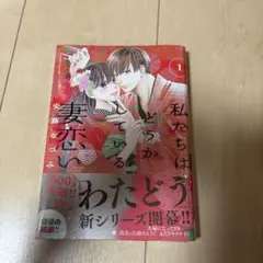 私たちはどうかしている 妻恋い(1)