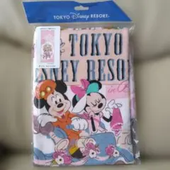 Item thumbnail for item e43ac501-44bd-4f77-ae56-259f44538b8a