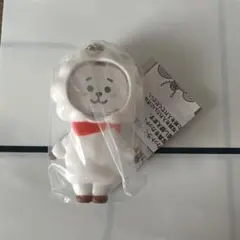 BTS BT21 フォトフレームマスコット RJ ガチャガチャJIN