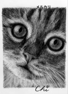 2026年最新】鉛筆画ねこの人気アイテム - メルカリ