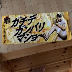 (即購入OK)スチュワートJR タオルのサムネイル