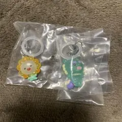 JOCHUM めじるしアクセサリー ヤヌカミ ビラ