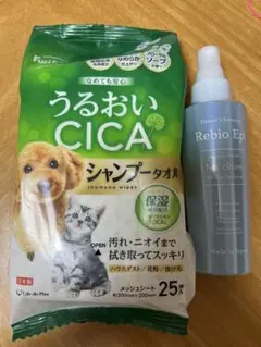 Item thumbnail for item ab859d06-c848-4623-8215-fcb06fdb88ab