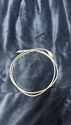 USB-C Lightningケーブル iPhone 急速充電対応 1m