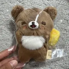 リラックマ チャイロイコグマ ぶらさげぬいぐるみ あつめてぬいぐるみ