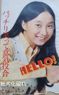 1975年 アイドル百科パイロット万年筆「アグネスチャンのハッピー