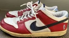 Nike DUNK LOW SUPREME COURT US10