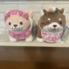 忠犬もちしば　2個　新品