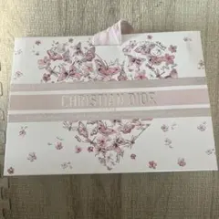 CHRISTIAN DIOR 蝶デザイン紙袋