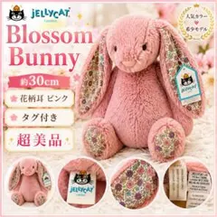 Jellycat Blossom Tulip Pink Bunny レア色 限定のサムネイル