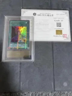 ARS10+ 鑑定書付き】ゲンシカイオーガEX SR 073/070 1st - メルカリ