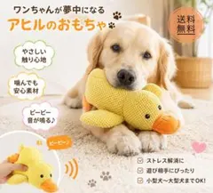 【ピーピー鳴る♪】アヒルのぬいぐるみ 犬用おもちゃ 小型犬〜大型犬対応のサムネイル
