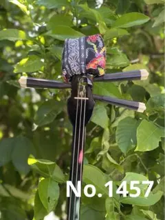 Item thumbnail for item 5a76f6ad-5699-4371-a012-4209388dbe0a