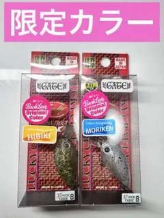 Item thumbnail for item 5f7a0b9a-a6f0-4027-983a-6af33635b825