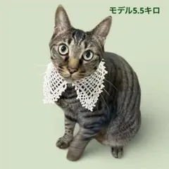 Item thumbnail for item b94017a1-c074-4504-9b04-e9c1d15d0bc6