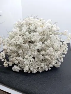 ちょい長めカワラハハコ　ドライフラワー100本+α 14