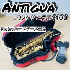 2026年最新】antigua 3100の人気アイテム - メルカリ