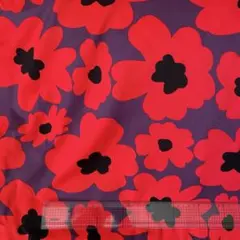 Item thumbnail for item 50a4b033-482b-450a-b883-dbb599a541b9