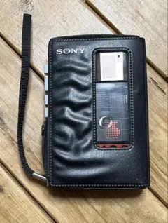 Item thumbnail for item f1772600-961a-4017-b490-893c29768f17