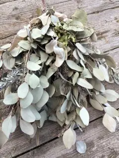 ⑬ユーカリボボラズベリー　ドライフラワースワッグ　クリスマスにも