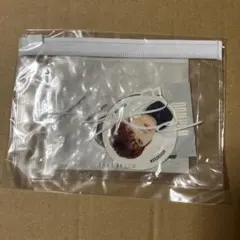 SEVENTEEN ウォヌ HARE フレークシールセット