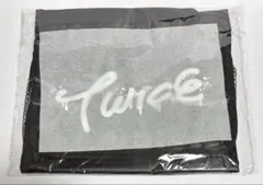 TWICE トラベルポーチ THIS IS FOR 公式グッズ 新品