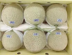 り*中様 高知県産　マスクメロン　 7玉入り　約7.5㎏（下箱込み） ⑤高知県産 温室マスクメロン 7玉入り 約7.4㎏（箱込み） - メルカリ