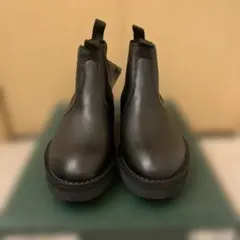 Item thumbnail for item 486c8b00-3c70-47f1-b1b0-4f4618e97e1d