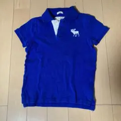 abercrombie キッズ ポロシャツ S 青