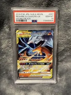 Item thumbnail for item 5e9d65c5-0d41-4fee-b56a-9d86015c69bf