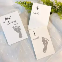 Item thumbnail for item e6846ec6-34cc-42ee-bd67-e7df91455330