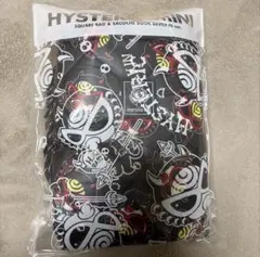 ヒスミニ ムック本