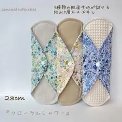 Item thumbnail for item c587fb97-0b96-4692-ac4f-ad9ab0821cb4