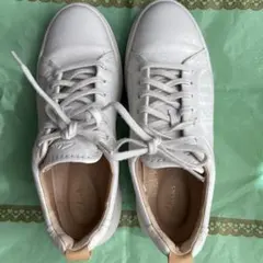 Clarks ホワイト スニーカー